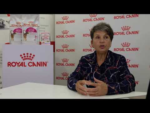 Видео: Окрасы с неравномерным распределением пигмента по длине волоса. Белая пятнистость.