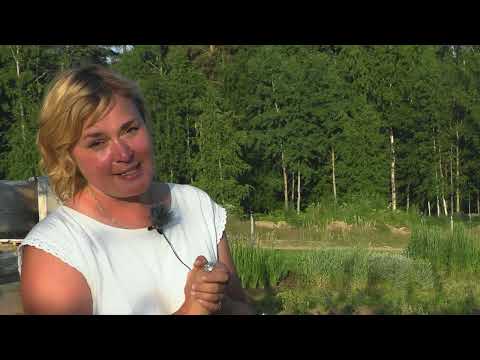 Видео: Природные цветники.