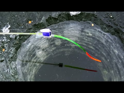 Видео: РЫБАЛКА НА МУХОМОРМЫШ ЗУЕВА.