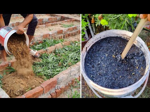 Видео: Обогатите почву на 1000 лет! (Эти древние бесплатные лайфхаки для обогащения почвы микробами за С...