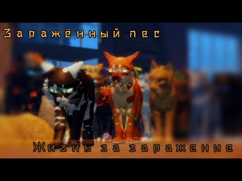 Видео: 5 серия "Заражённый лес"! Коты воители роблокс! Warrior Cats Ultimate Edition Roblox
