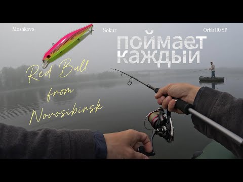 Видео: ТРОФЕЙНАЯ ЩУКА точно есть в этом озере🐋Рыбалка в Новосибирске.
