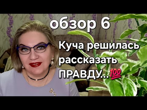Видео: Куча решилась рассказать ПРАВДУ...💯
