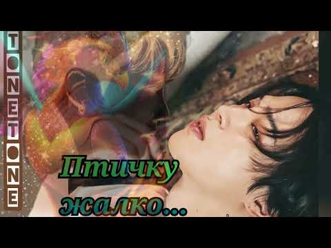 Видео: Птичку жалко/лайт Ютуб/TONETONE/#bts #озвучкаbts #фанфикибтс/Cat Wild