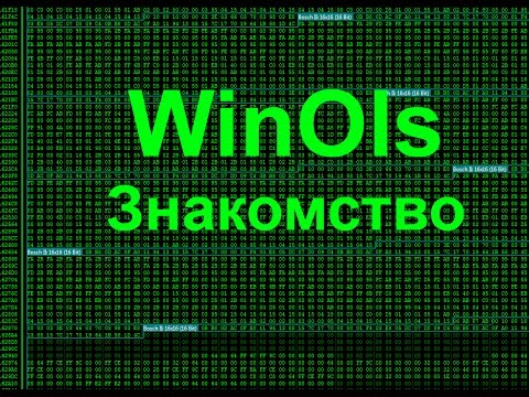 Видео: Все о Winols.  Знакомство с программой