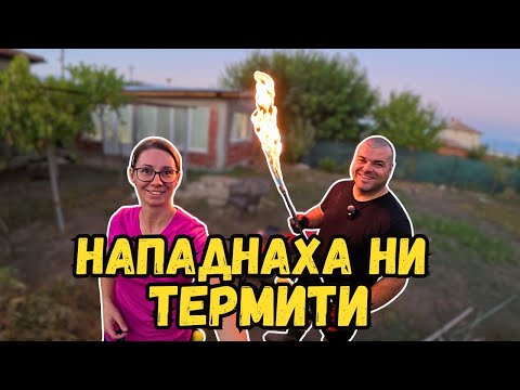 Видео: Нападнаха ни термити | Милчеви БГ