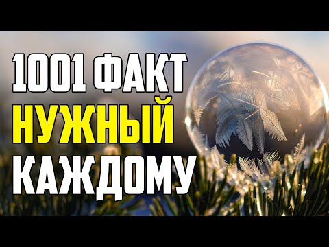 Видео: 1001 ИНТЕРЕСНЫЙ ФАКТ, НУЖНЫЙ КАЖДОМУ