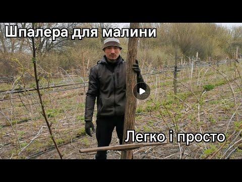 Видео: Як зробити шпалеру для малини власноруч, легко і просто.