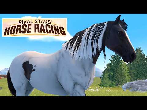 Видео: МУСТАНГ И АППАЛУЗА на ПК🌺 самые красивые лошади в Rival Stars Horse Racing