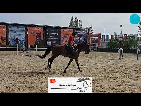 Видео: Конкурная тренировка сборной команды Кыргызстан по конкуру. Ташкент, 22.04.24.