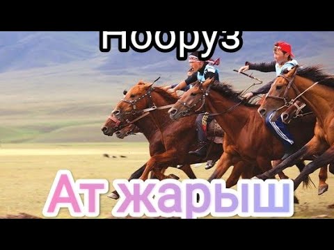 Видео: Ат жарыш| Алайку, Көк-арт айылы 21.03.2024