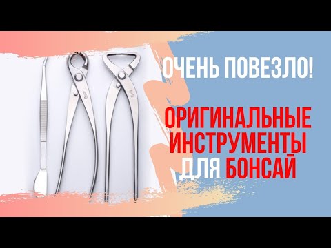 Видео: ОЧЕНЬ ПОВЕЗЛО! Оригинальные японские инструменты для бонсай