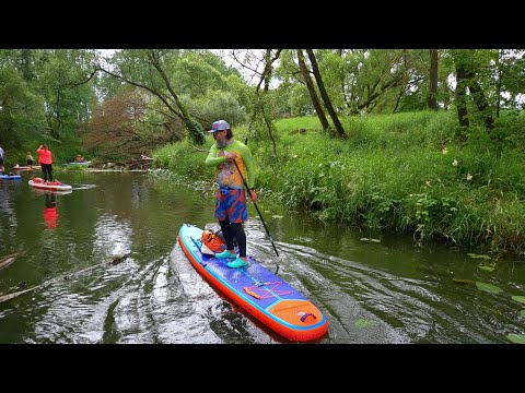 Видео: Распаковка и тест на воде SUP доски Shark Venture+ Touring 14x30x6 2025 HD