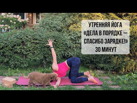 Видео: Утренняя йога «ДЕЛА В ПОРЯДКЕ - СПАСИБО ЗАРЯДКЕ!» | любой уровень | 30 мин