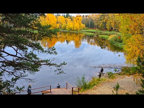 Видео: Монастырское озеро. Енисейск. (краткий обзор)