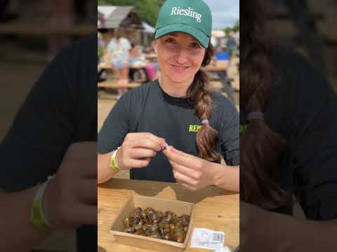 Видео: Архстояние 2023 в Никола-Ленивце и Лесосаде Юма