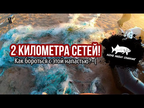 Видео: Талапкер терзают браконьеры! Ламповая рыбалка с подписчиками