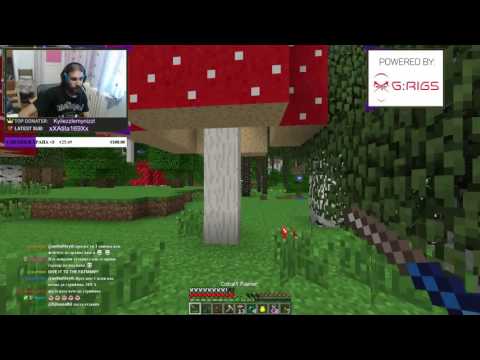 Видео: 11.08.2016 The Pact Pack Tinkers + Twilight Forest днес :)