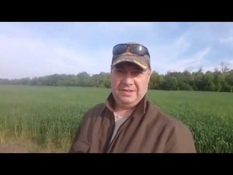 Видео: Первый поиск с FISHER 44. СЕРЕБРО!!!