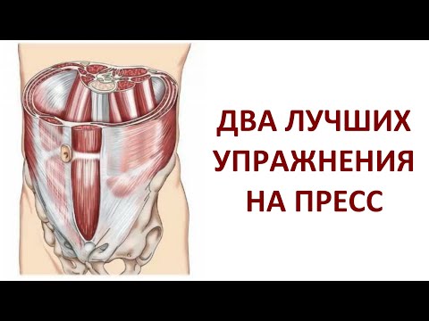 Видео: Два лучших упражнения на пресс в положении лёжа на спине