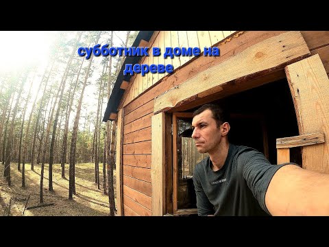 Видео: день в доме на дереве.уборка в доме.