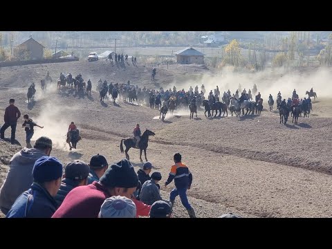 Видео: Өмүр аке неберелерине берген аламан улагы 2-бөлүм 05.11.2023.Көк-Серек айыл өкмөтү