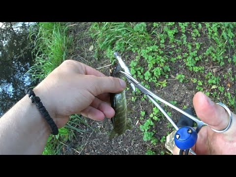 Видео: Рыбалка на микроджиг,джиг,воблер,в Люблино и Кузьминках