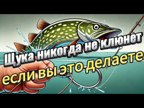 Видео: Делая это, вы никогда не поймаете щуку! Вот почему. #рыбалка #ловлящуки #советырбакам #щука