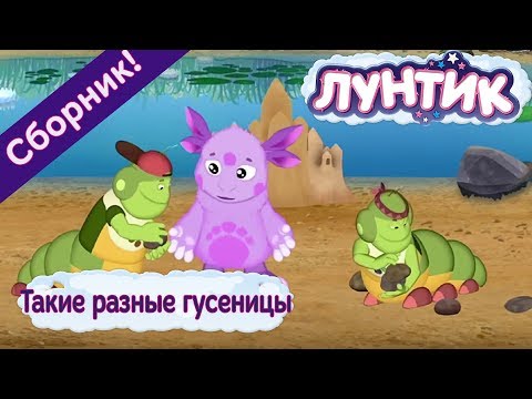 Видео: Лунтик 🌼 Такие разные гусеницы🌼 Сборник мультфильмов 2017