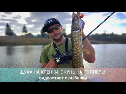Видео: Щуки на кренк, окуни на поппер. Спиннинг на мелководном пруду.