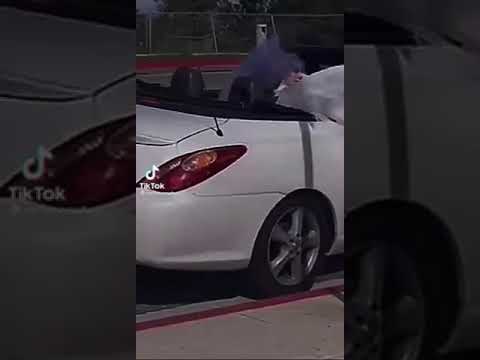 Видео: 🎄Ньют и т/и🎄первое видео💓 жду хотя-бы 10 друзей 🎄👋💓