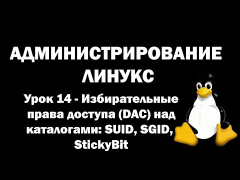 Видео: Администрирование Линукс (Linux) - Урок 14 - Избирательные права доступа (DAC) над каталогами