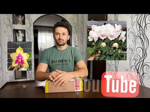 Видео: Распаковка Посылки с орхидеями ￼от Magic orchids ￼￼
