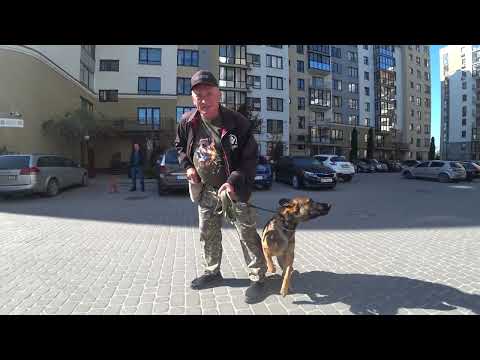 Видео: Результат війни. Малінуа Тес. Частина 1.