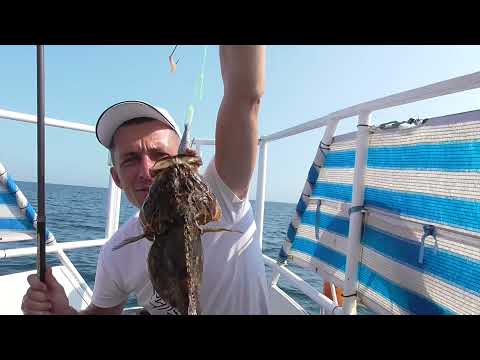 Видео: Морская рыбалка на Днестровской банке 25 08 21