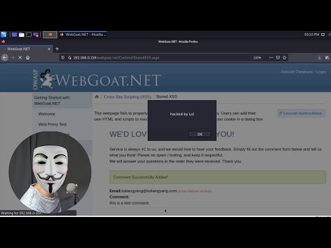 Видео: Межсайтовый скриптинг (XSS) объяснен и продемонстрирован профессиональным хакером!