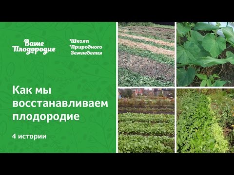 Видео: Как мы восстанавливаем плодородие