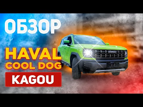 Видео: Обзор HAVAL Cool Dog KaGou. Авто на заказ