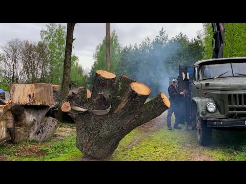 Видео: Что скрывают эти загадочные бревна?