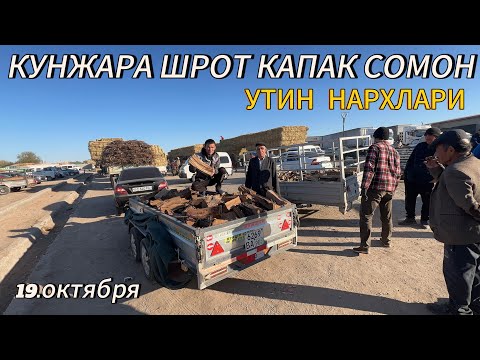 Видео: КУНЖАРА ШРОТ КАПАК СОМОН УТИН НАРХЛАРИ ХАЗОРАСП ЕМ ХАШАК БОЗОРИ 19 10 25г