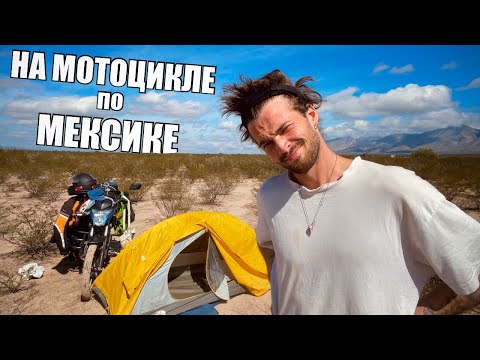 Видео: По мексиканской пустыне в поисках МАГИЧЕСКОГО КАКТУСА.