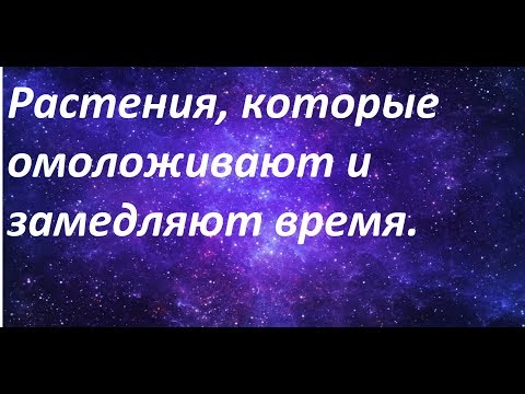 Видео: Растения, которые омолаживают и замедляют время.