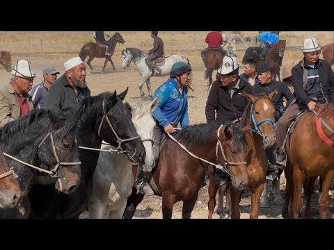 Видео: Ноокен Аламан Улак Жанторо93 #kyrgyzstan