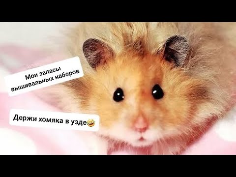 Видео: Запасы наборов обзор