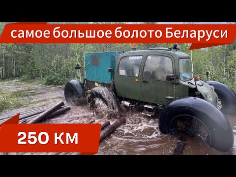 Видео: САМОЕ БОЛЬШОЕ БОЛОТО, ТУНДРА НЕИЗВЕСТНАЯ  Беларусь