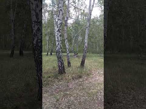 Видео: 15 июля 2023 г.