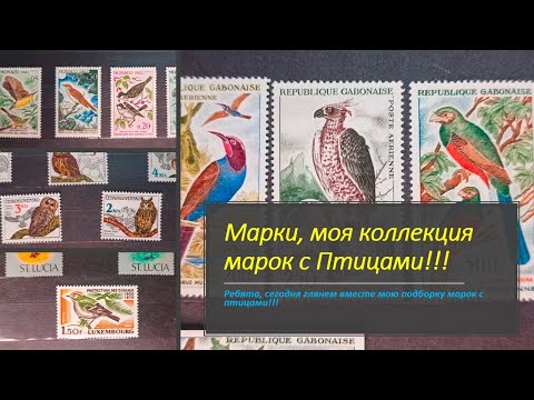 Видео: Марки, альбом, моя коллекция марок с Птицами!!!