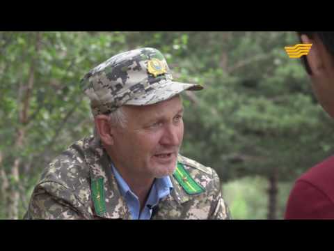 Видео: «Экспедиция 25». Есік қаласы