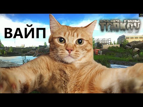 Видео: ВАЙП Escape From Tarkov ВАЙП #escapefromtarkov #тарков #eft  (Мемасы в описании! ) #стрим ! ч. 8