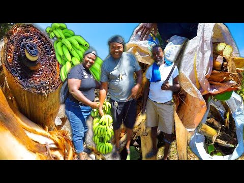 Видео: НАЧНИТЕ ЗАНИМАТЬСЯ ФЕРМЕРСТВОМ, ПРИГОТОВЬТЕСЬ | ЧЕЛОВЕК С ВИДЕНИЕМ ЗЕМЛЕДЕЛИЕ — ЭТО ПЛАН | КОМАНД...